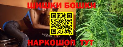 индика Усть-Илимск