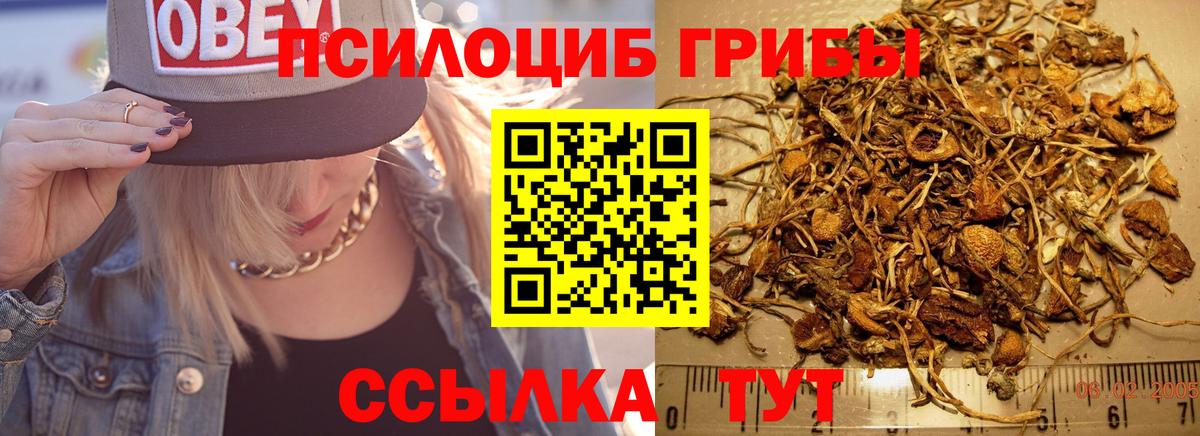 Псилоцибиновые грибы мицелий  хочу наркоту  Омск  Вход с VPN  Галлюциногенные грибы MAGIC MUSHROOMS 