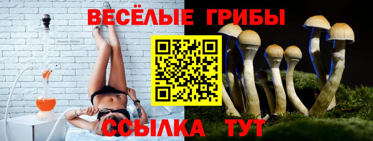 Псилоцибиновые грибы прущие грибы Омск
